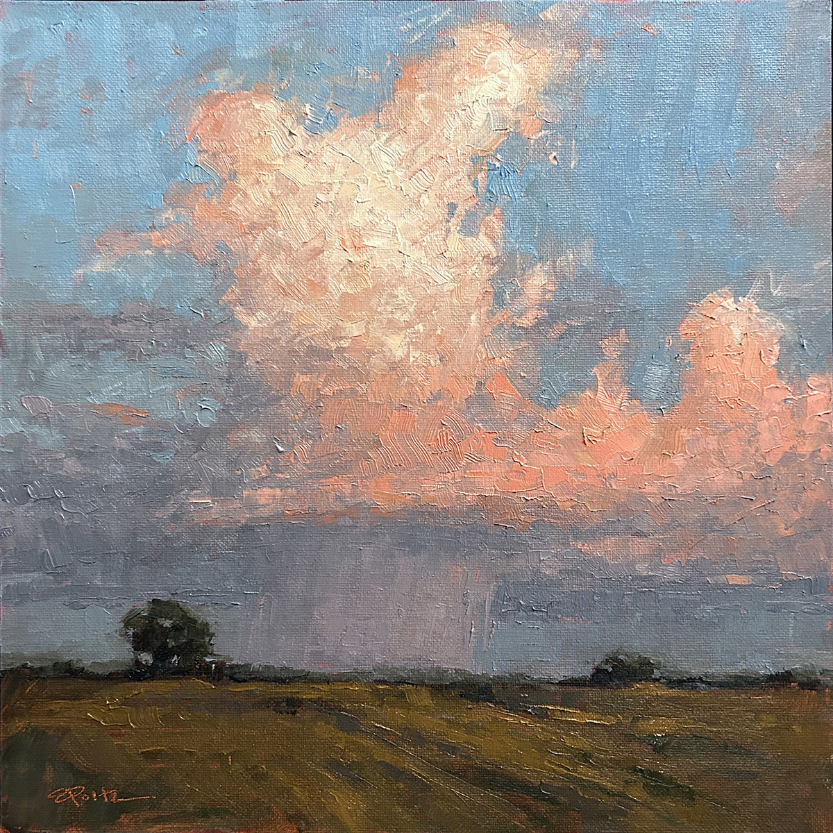 Summer Evening   IMG_3228